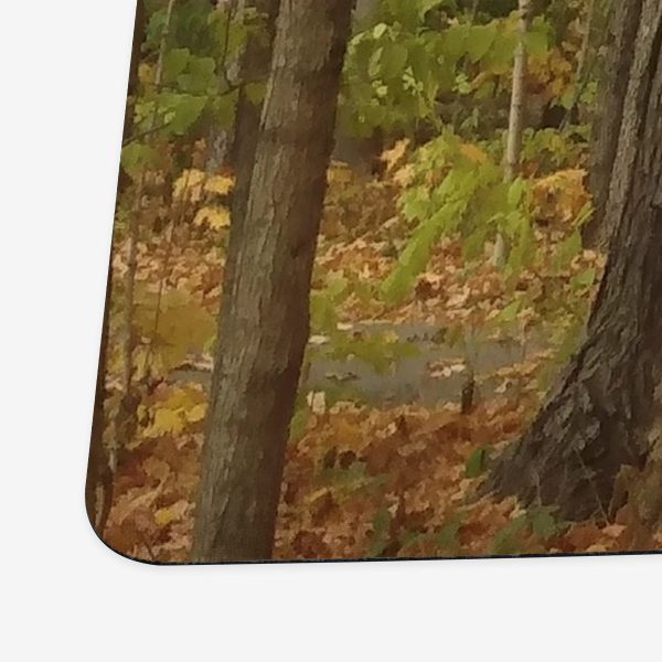 Path of Autumn Playmat Fashion - Image 2