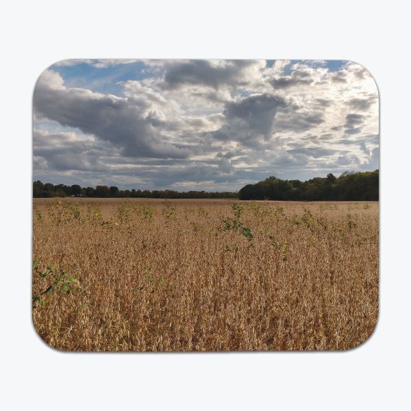 Vast Yellow Plains Mousepad For Discount