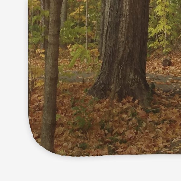 Path of Autumn Mousepad For Cheap - Image 5
