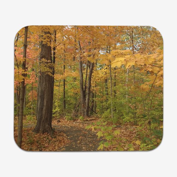 Path of Autumn Mousepad For Cheap