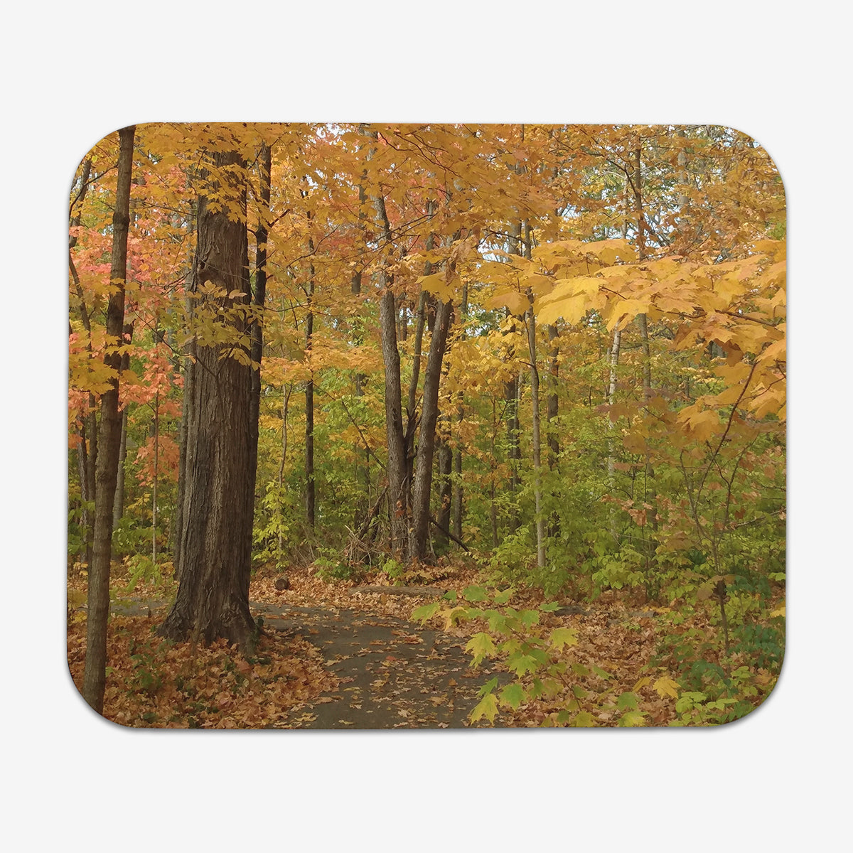 Path of Autumn Mousepad For Cheap