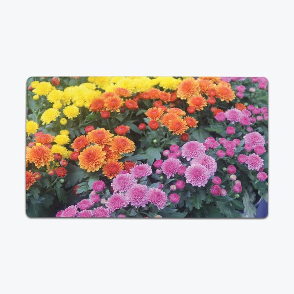 Colorful Blooms Playmat Cheap