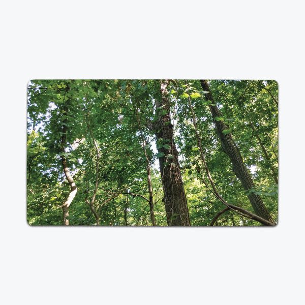 In The Summer Forest Playmat Fashion - Image 5