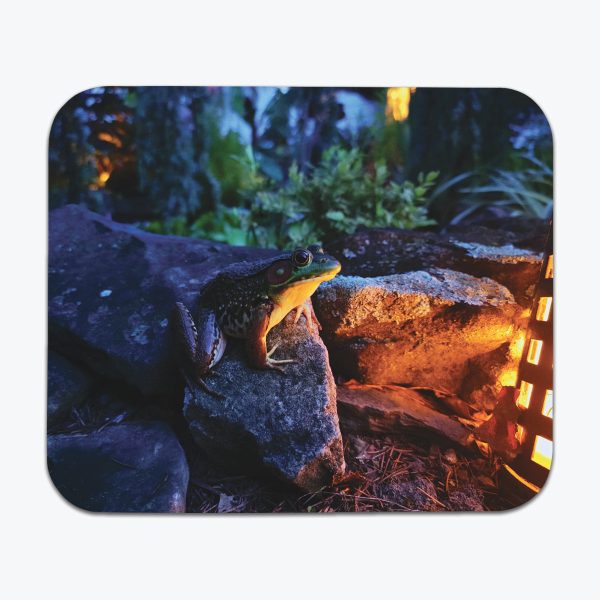Lantern Lit Frog Mousepad Fashion