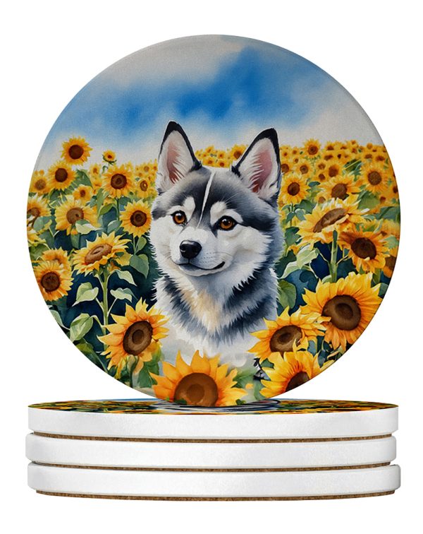 Alaskan Klee Kai in Sunflowers Large Sandstone Coasters Pack of 4 Online now