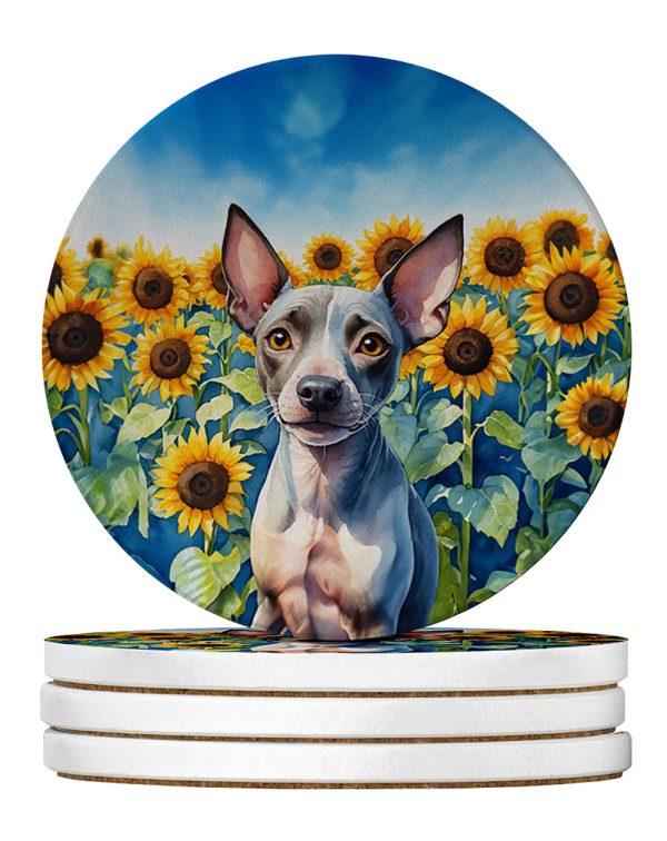 American Hairless Terrier in Sunflowers Large Sandstone Coasters Pack of 4 Supply