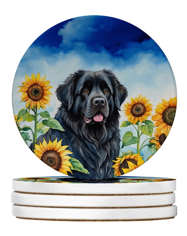 Newfoundland in Sunflowers Large Sandstone Coasters Pack of 4 Sale