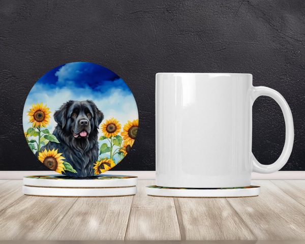 Newfoundland in Sunflowers Large Sandstone Coasters Pack of 4 Sale - Image 2