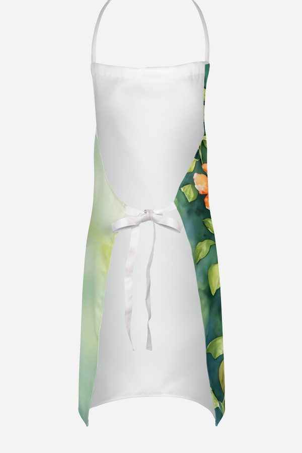 Rufous Hummingbird Apron on Sale - Image 4