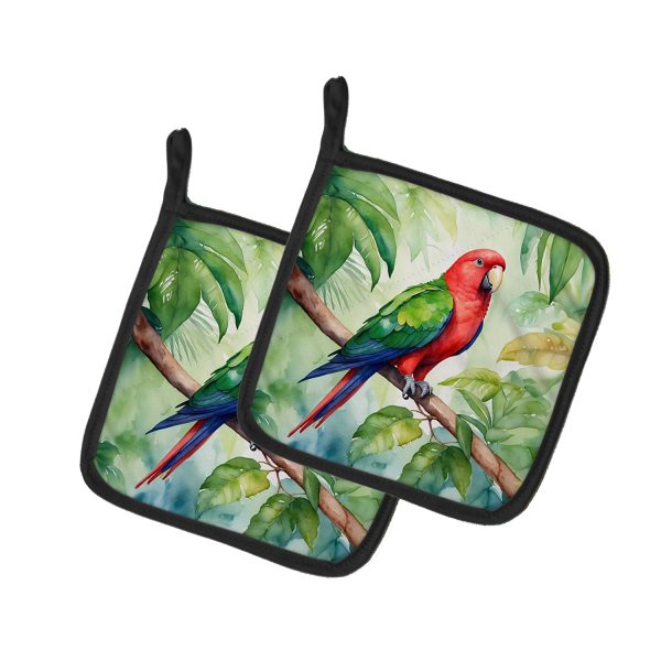 Eclectus Parrot Pair of Pot Holders on Sale