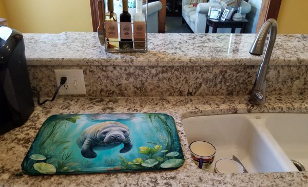 Manatee in a Crystal-Clear Spring Dish Drying Mat For Sale - Image 2