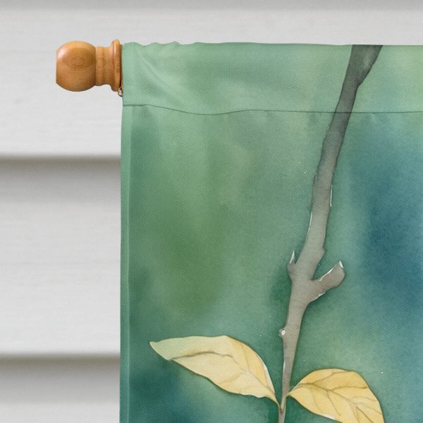 Vermont Hermit Thrush House Flag Online - Image 3