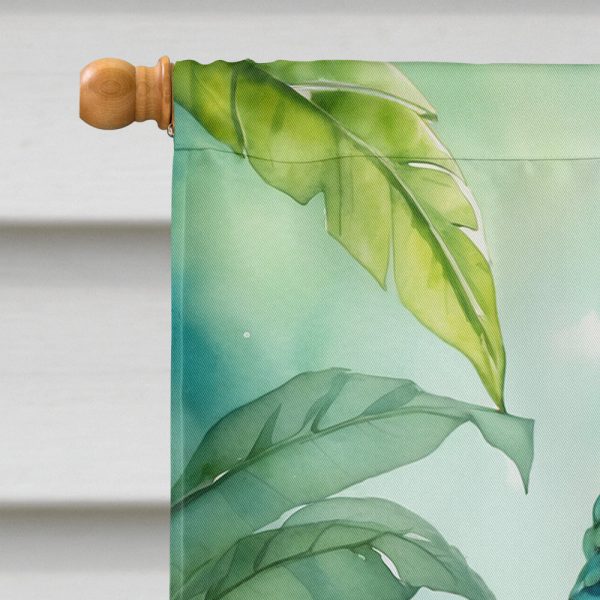 Amazon Parrot House Flag Online Hot Sale - Image 3