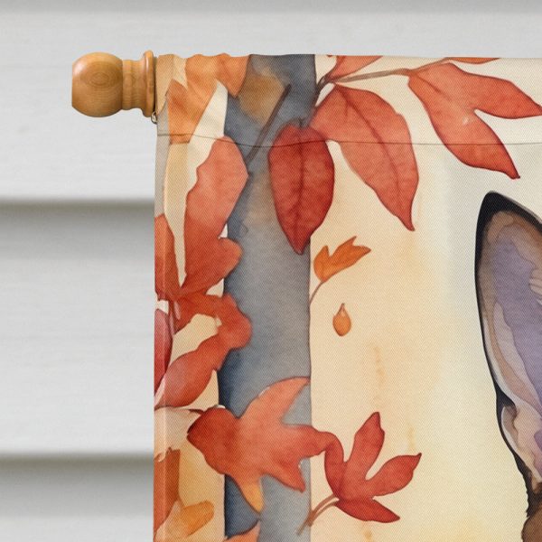 Abyssinian Cat in Fall Leaves House Flag For Discount - Image 3