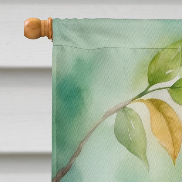 Lovebird House Flag Online Sale - Image 3