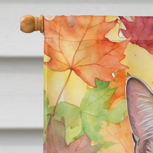 California Spangled Cat in Fall Leaves House Flag Hot on Sale - Image 3