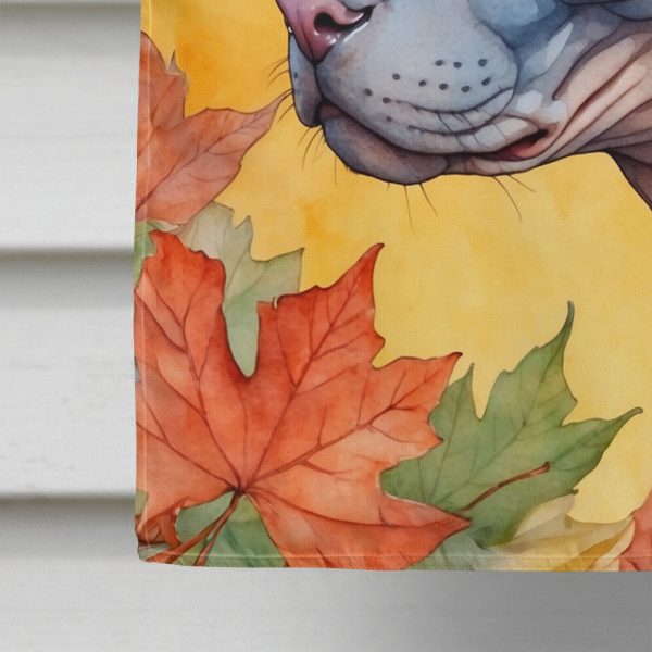 Donskoy Don Sphynx Cat in Fall Leaves House Flag Hot on Sale - Image 4