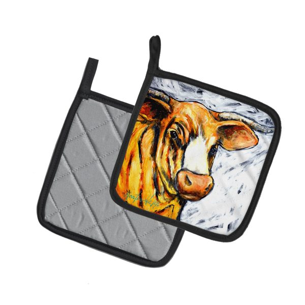 Bully Pair of Pot Holders Online now - Image 2