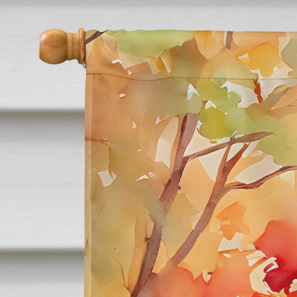 American Black Bear House Flag Online Sale - Image 3