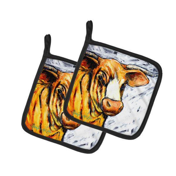 Bully Pair of Pot Holders Online now