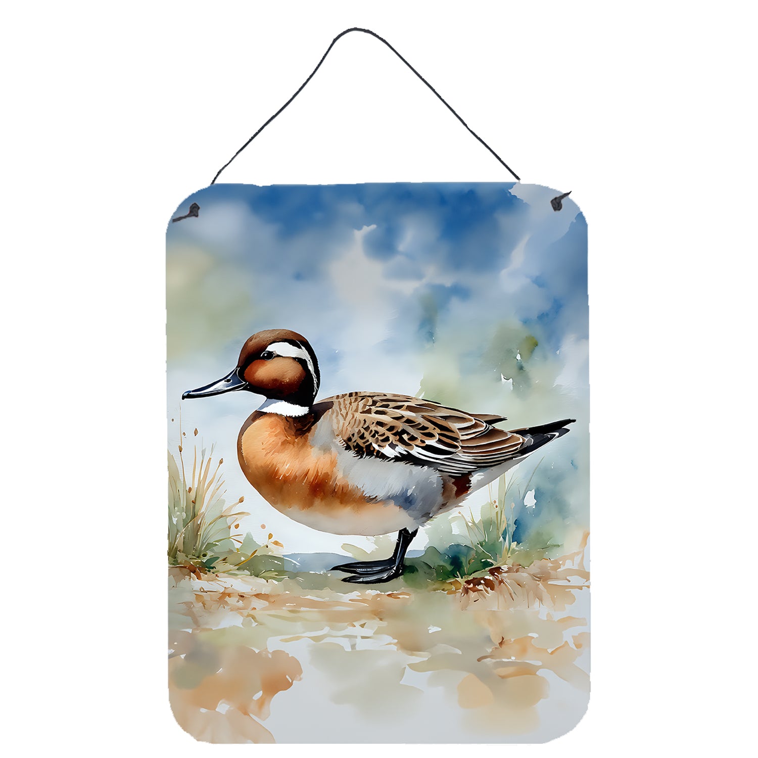 Northern Pintail Wall or Door Hanging Prints For Cheap