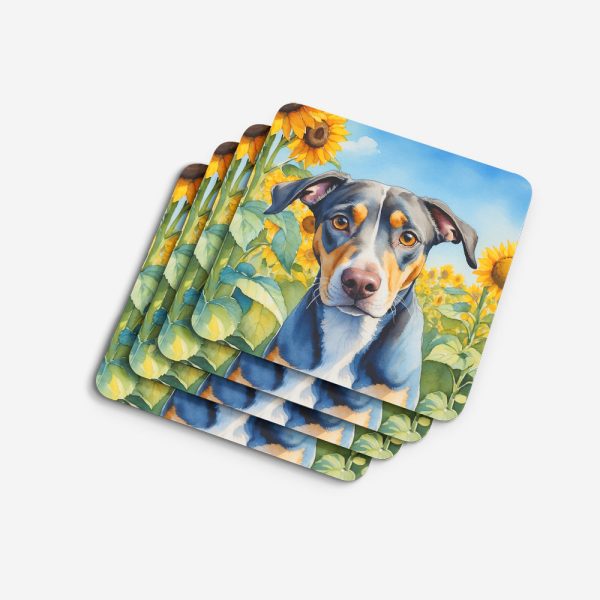 Catahoula in Sunflowers Foam Coasters Online Sale - Image 4