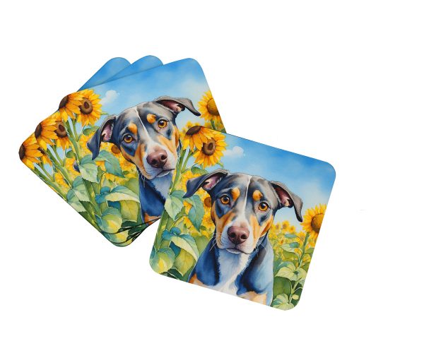 Catahoula in Sunflowers Foam Coasters Online Sale
