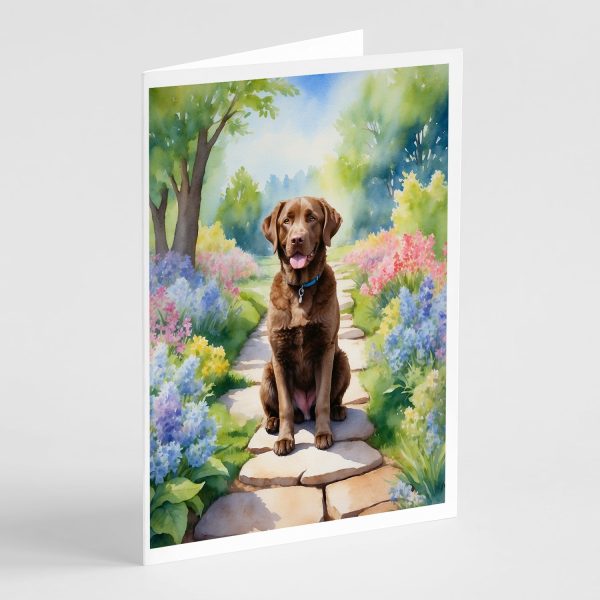 Chesapeake Bay Retriever Spring Path Greeting Cards Pack of 8 Fashion