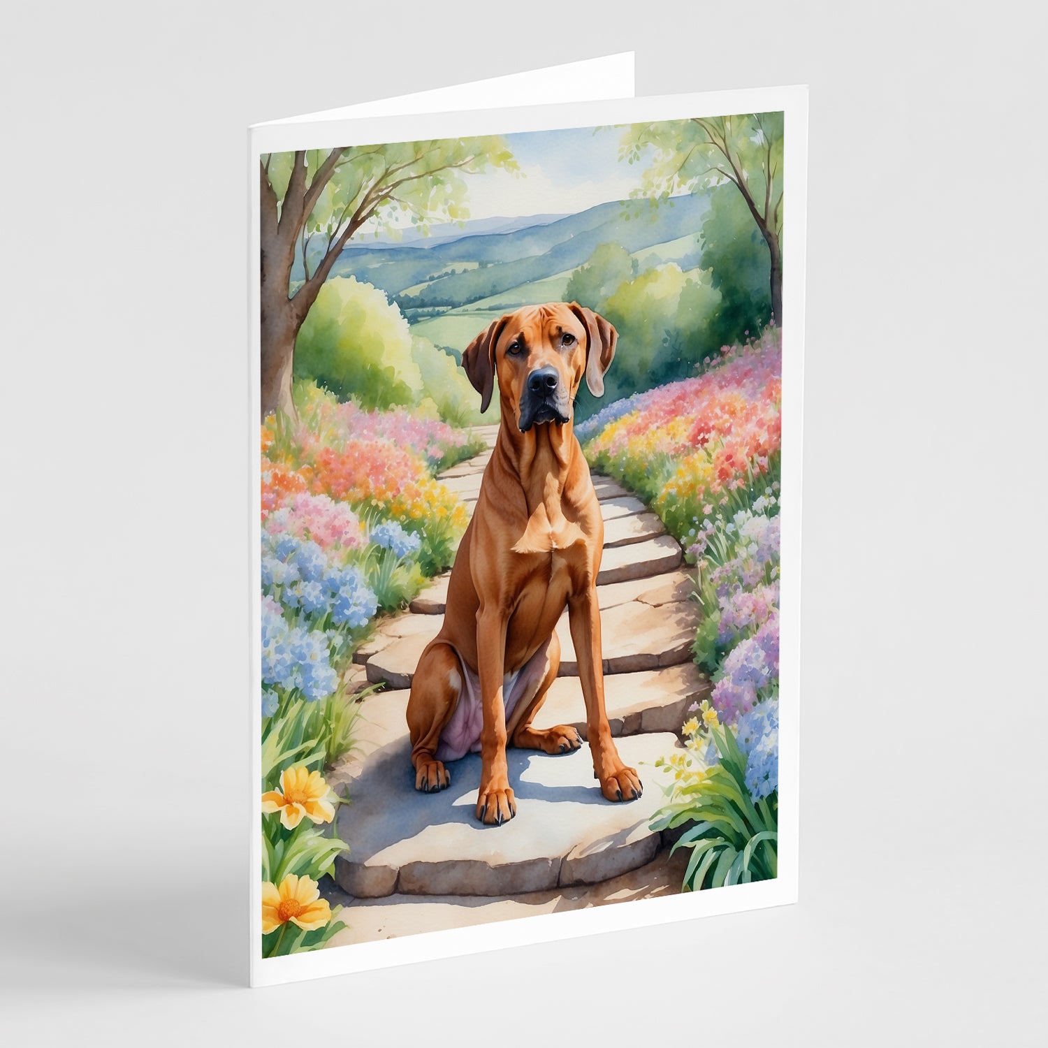 Rhodesian Ridgeback Spring Path Greeting Cards Pack of 8 Sale