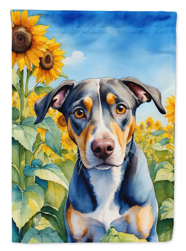 Catahoula in Sunflowers House Flag Supply