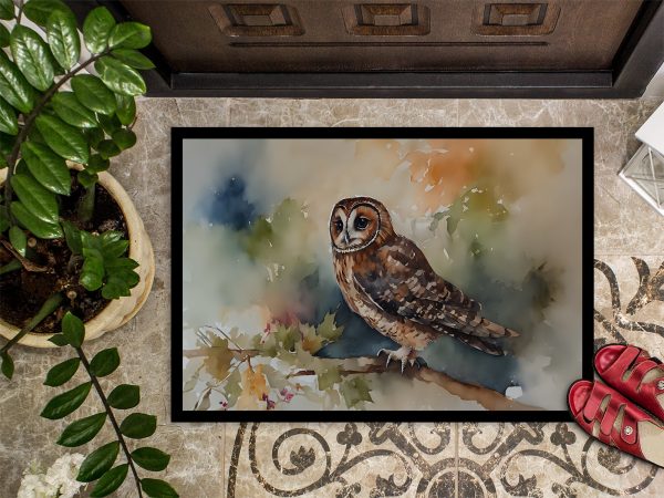 Tawny Owl Doormat For Cheap - Image 3