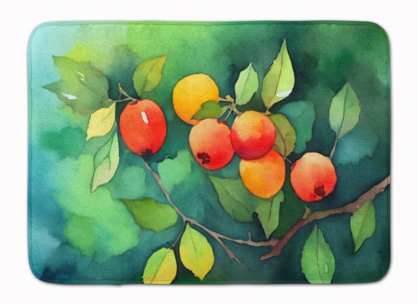 Missouri Hawthorns in Watercolor Memory Foam Kitchen Mat Online now