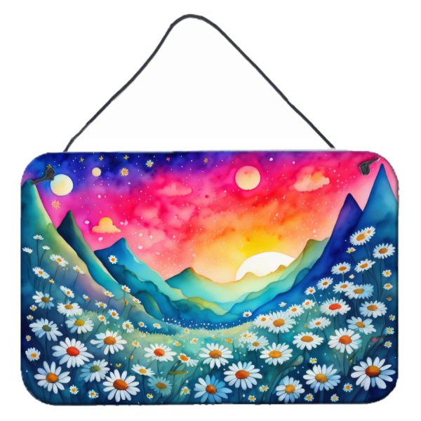 Daisies in Color Wall or Door Hanging Prints For Cheap