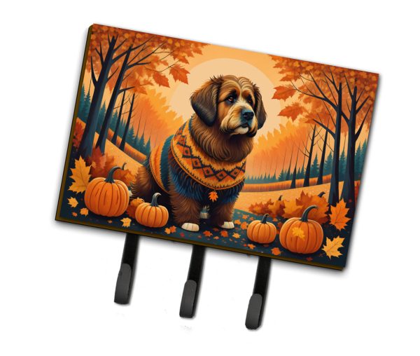 Briard Fall Leash or Key Holder Cheap