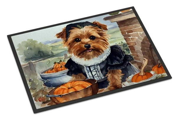 Norfolk Terrier Fall Kitchen Pumpkins Doormat 18x27 Online Sale