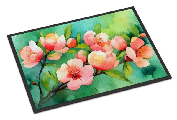 Delaware Peach Blossom in Watercolor Doormat 18x27 Discount