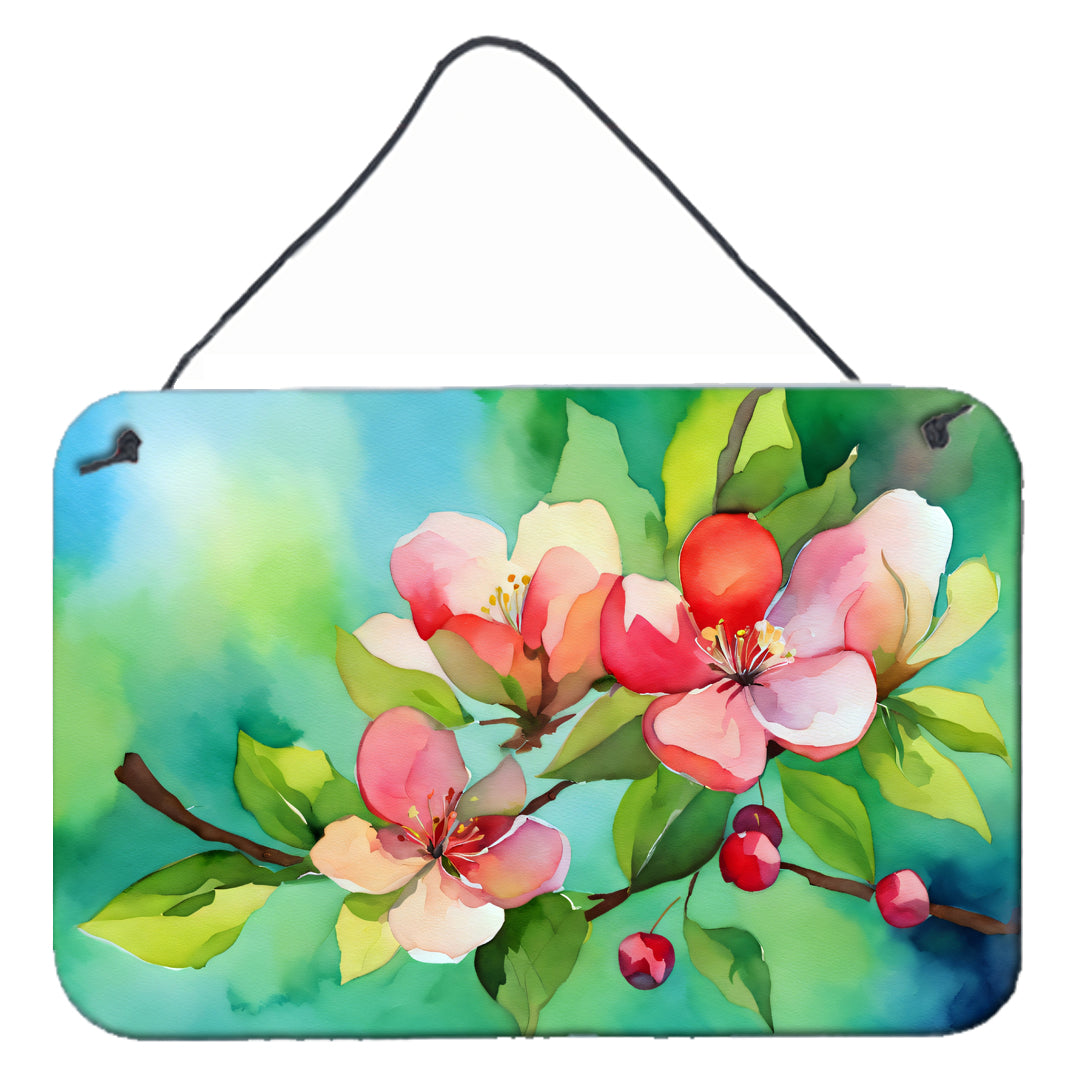 Arkansas Apple Blossom in Watercolor Wall or Door Hanging Prints Online Sale
